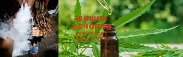 дурь Михайловск