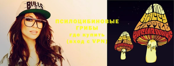 дурь Михайловск