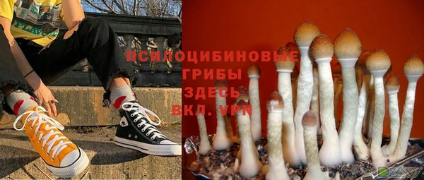 дурь Михайловск