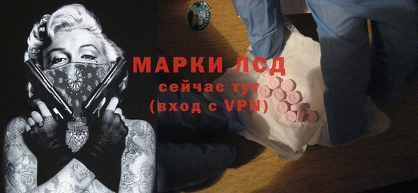 соль ск Снежинск