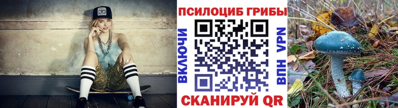 Псилоцибиновые грибы Psilocybine cubensis  закладки  OMG tor  Учалы 
