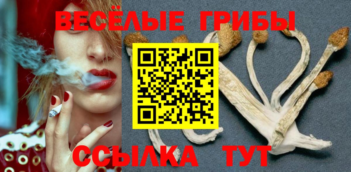 Галлюциногенные грибы ЛСД Учалы